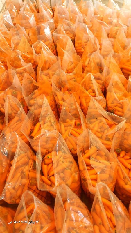 Fresh Egyptian Carrots Sweet & Crunchy | Grade A Export - Image 3